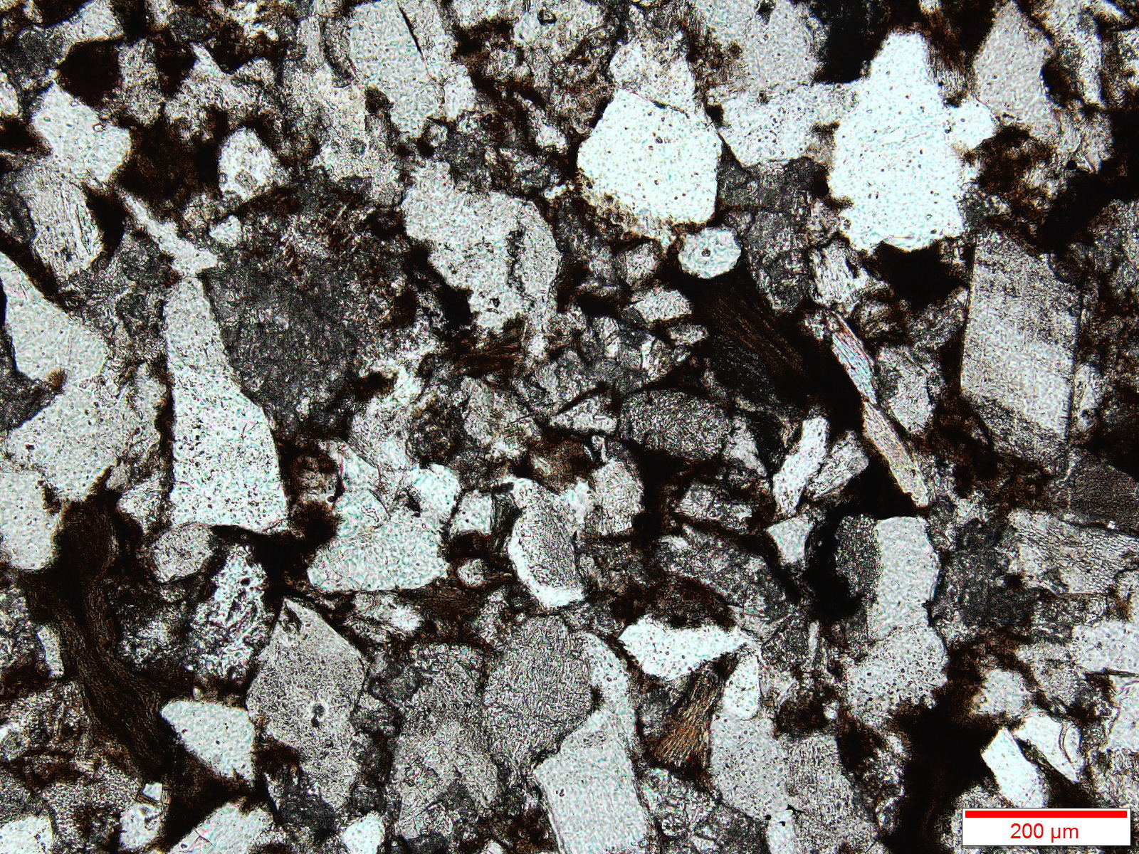 东北石油储量丰富东北有油田吗,大庆油田的石油总储量