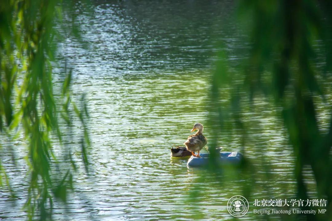 欢迎报考北京交通大学研究生！