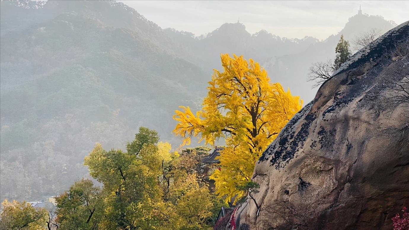 辽宁省发展鞍山篇,辽宁省鞍山市区域划分