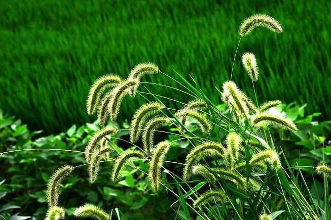 人类的祖先是怎样生活的60字,人类祖先最早发明的房子