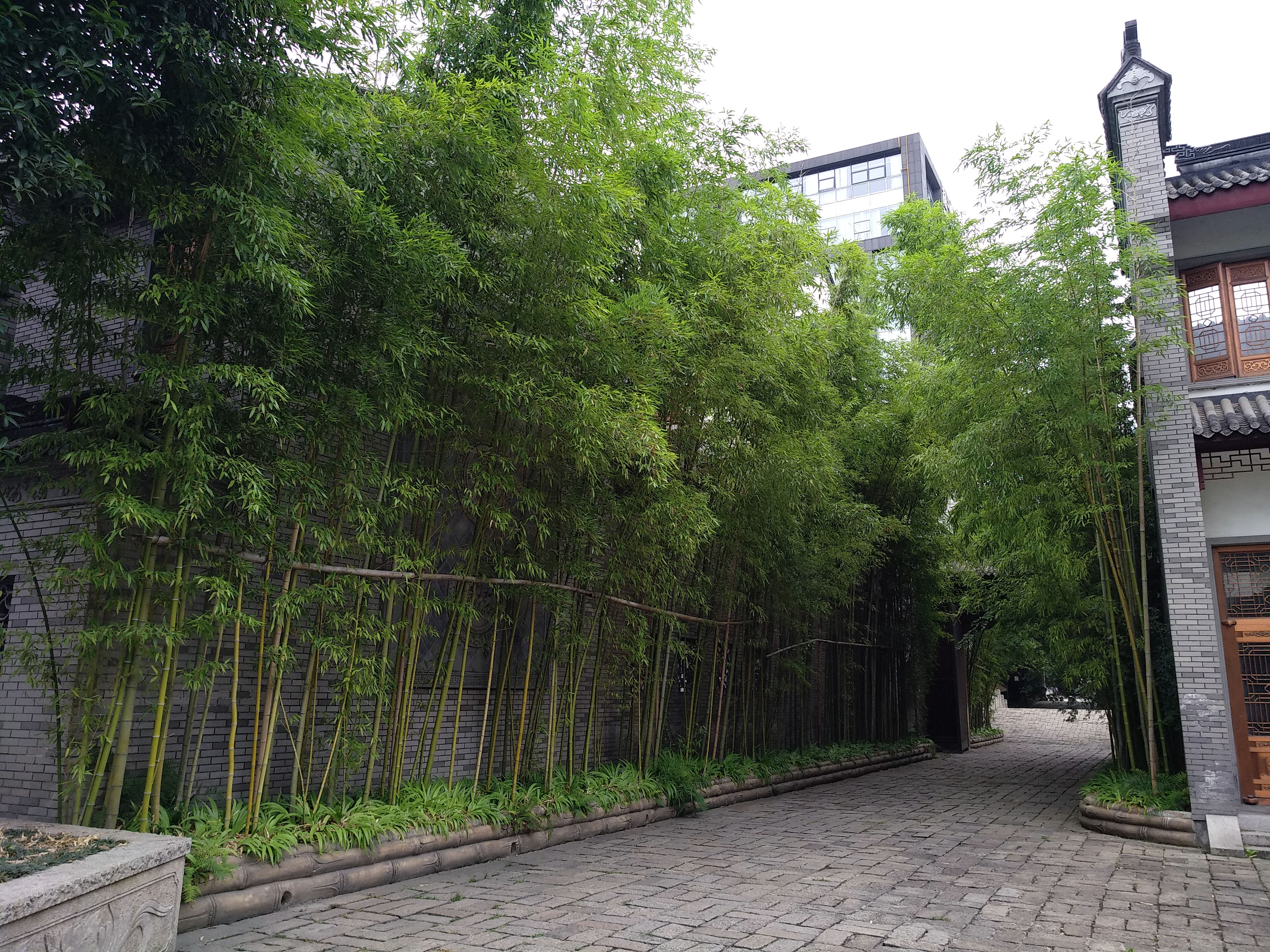 成都龙潭水乡最新消息,成都龙潭水乡别墅区