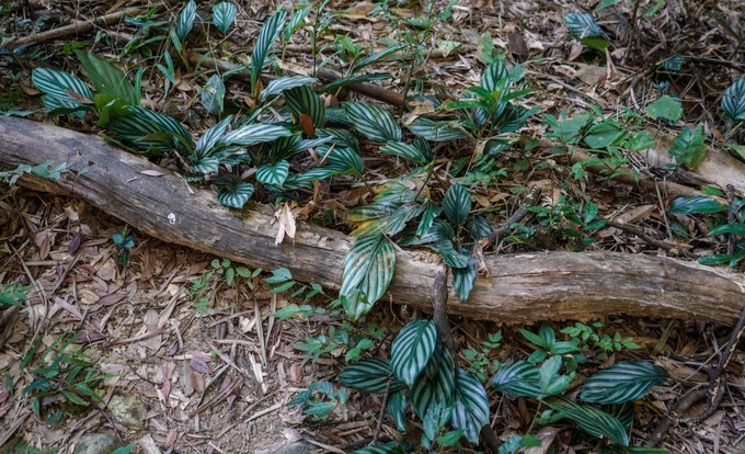 广州情侣自驾一日游推荐,广州浪漫自驾