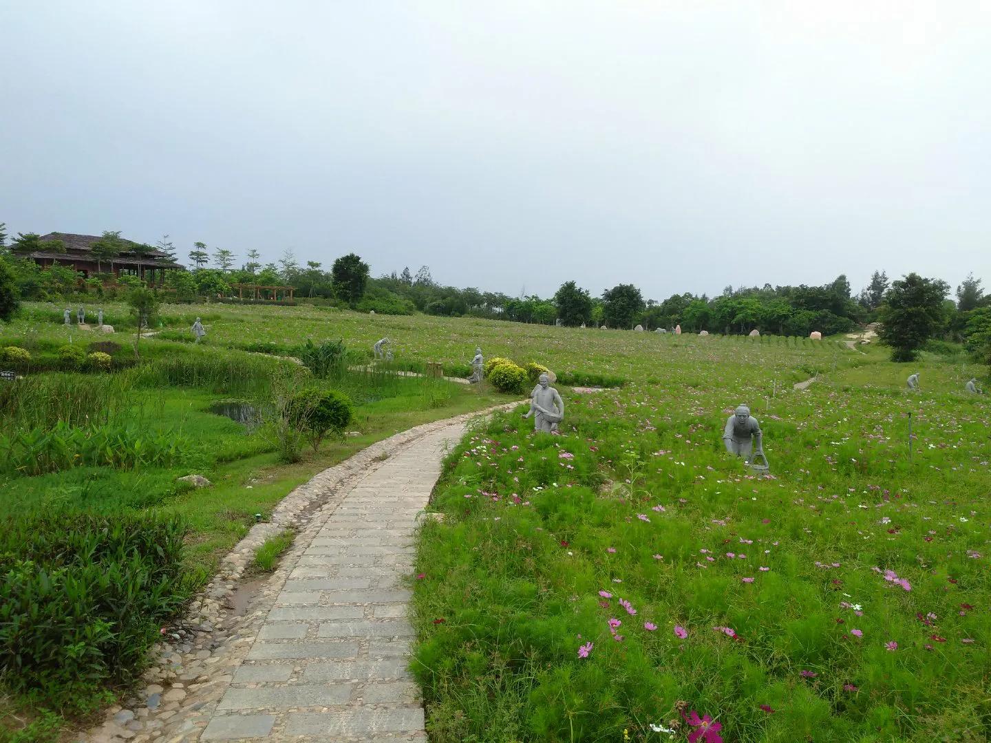 厦门香山有什么风景,厦门翔安必去8个景点香山