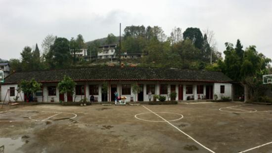 不是国球，亦非“第一运动”，篮球为什么能在中国开花结果？