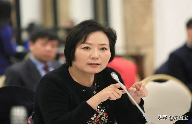 吴亚军谈龙湖现状,龙湖地产创始人吴亚军访谈