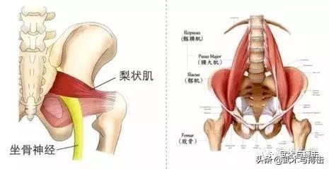 胯松了是什么原因,胯松开是什么感觉