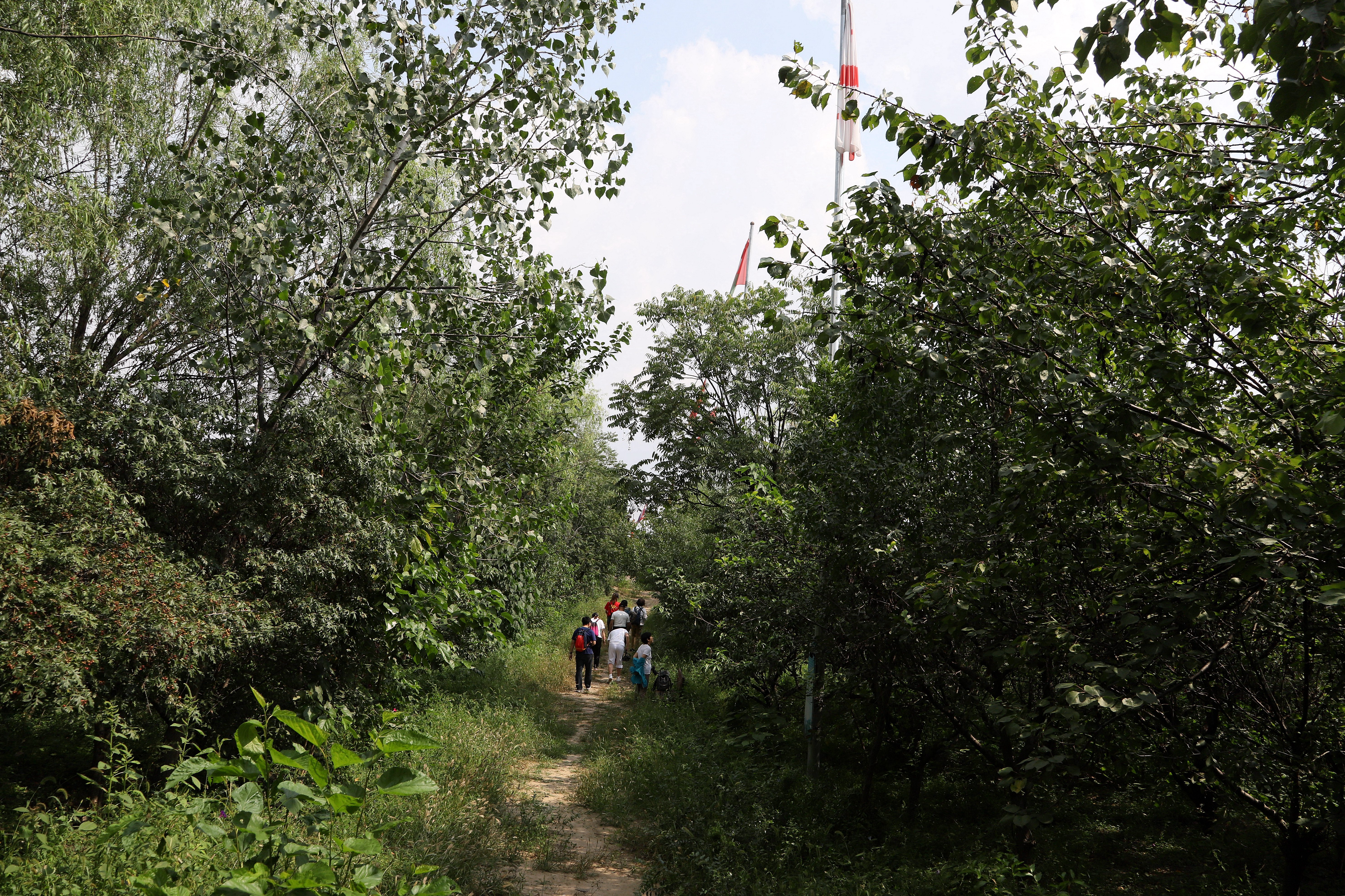 在心灵的栖息地遇见第五季