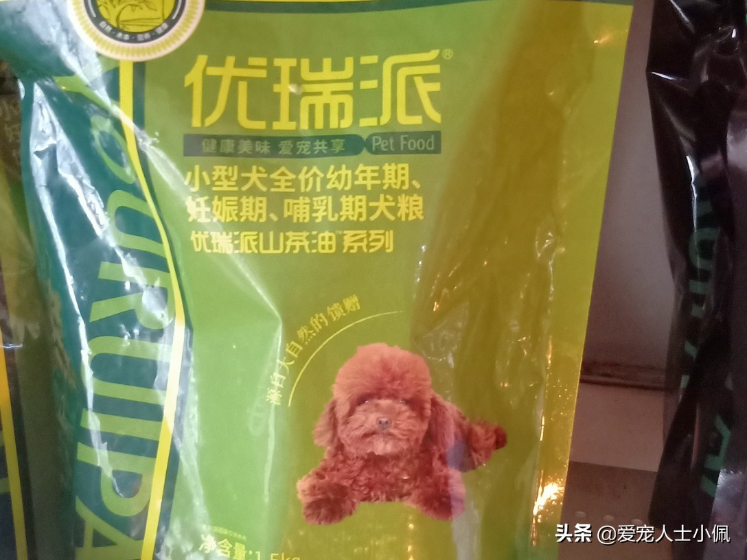 猫狗得了皮肤病怎么治疗,猫狗皮肤病怎么才算好