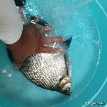 百元鱼竿推荐性价比高的竿子,鱼竿推荐购买100元新手