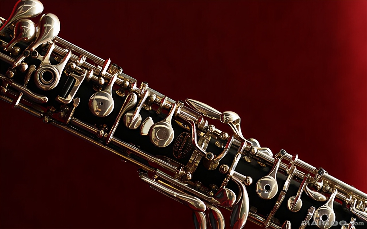 木管乐器有哪几种学习木管乐器的最佳年龄