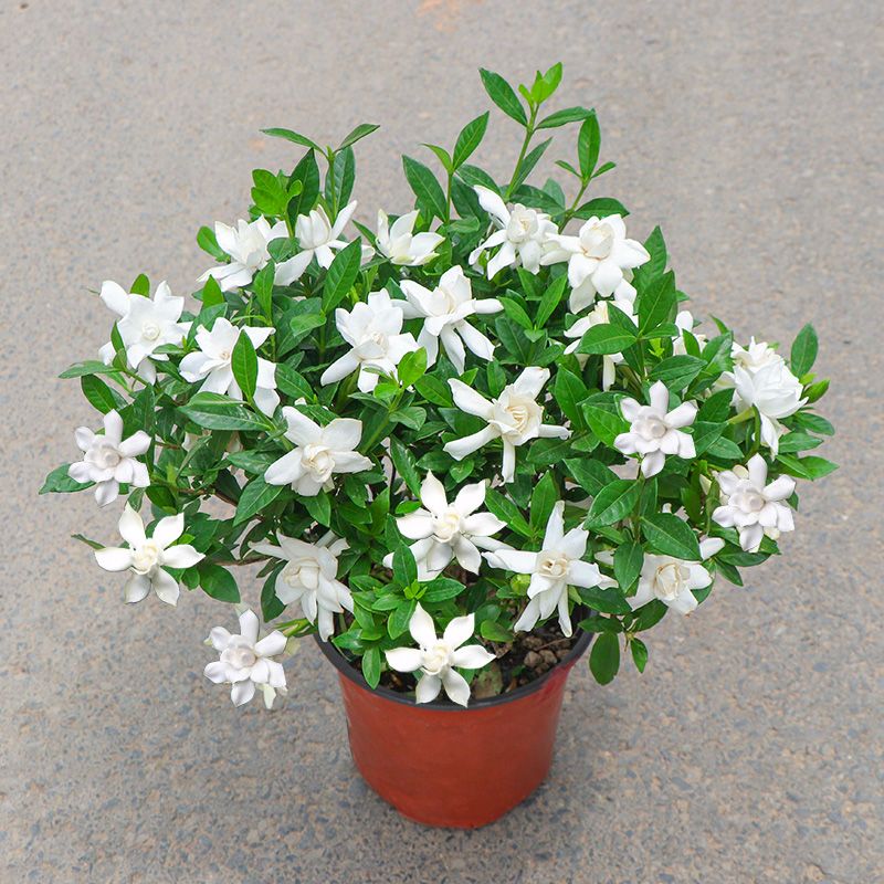 武汉恒发科技有限公司怎么样,武汉恒发科技有限公司简介