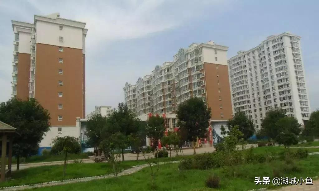 我叫枣强!这是我的最新简历