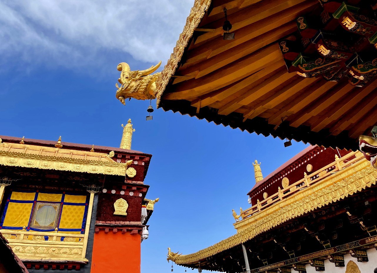 游1300年历史大昭寺，遇17岁无证导游，她说已做了四年讲解