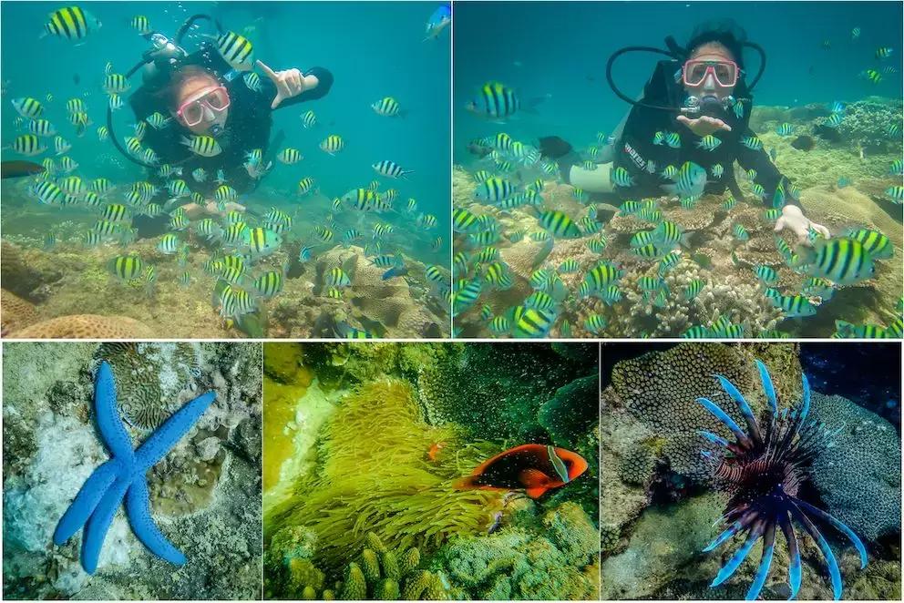 夏季海岛旅行地推荐,夏日海岛攻略