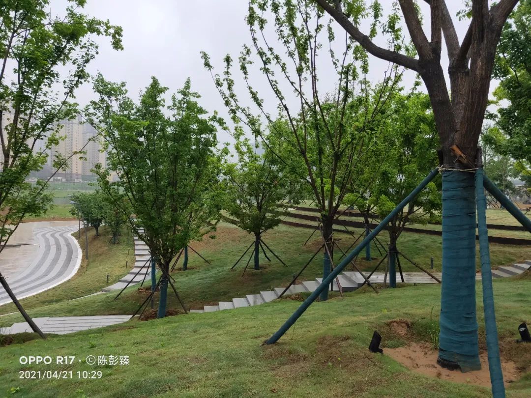 郑州西美规划,郑州西美