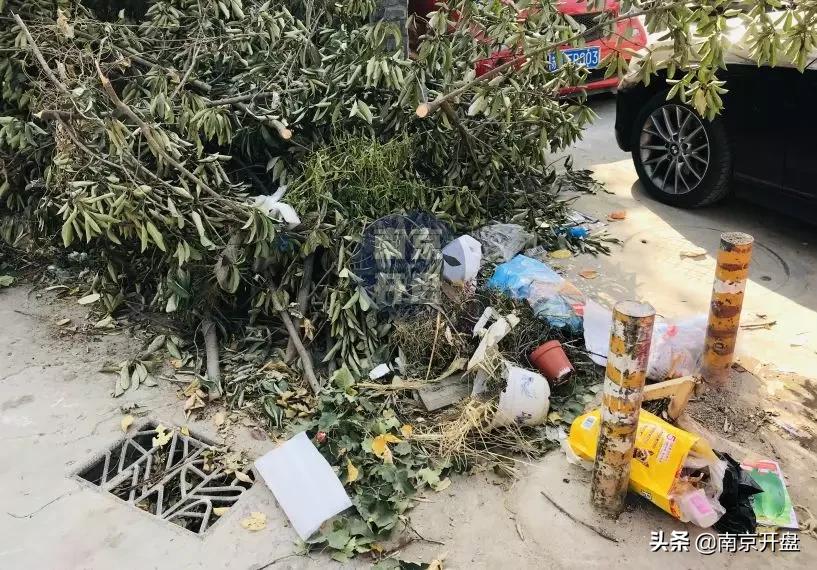 假山里住人！物业不作为，南京超级大盘终于要换物业了