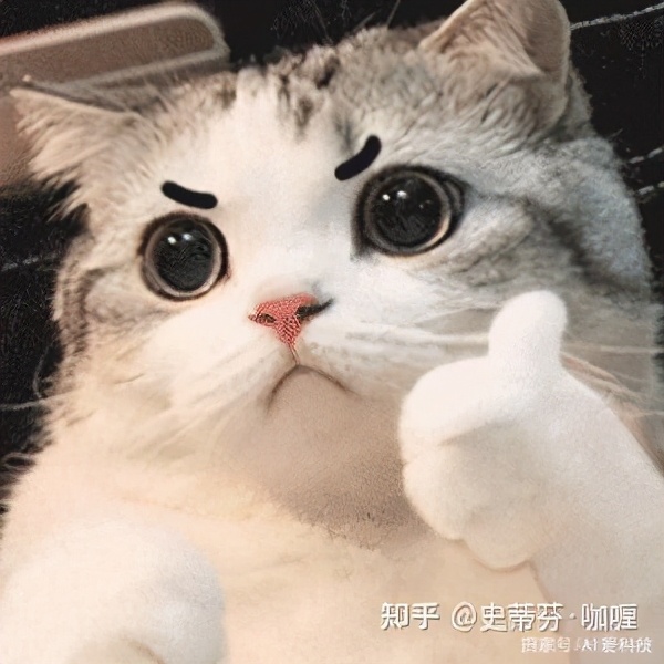 高考选择计算机专业注意事项,高考志愿填报该不该请人