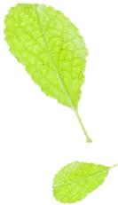 月经推迟原因和怀孕推迟的区别,月经推迟几天排卵也推迟几天吗