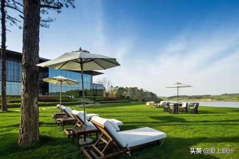 雅居乐品牌焕新,雅居乐有什么产品