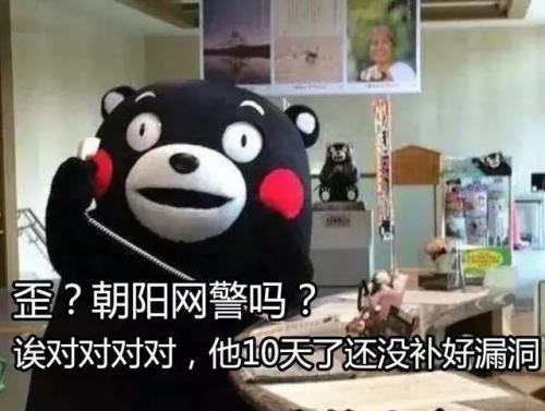 缺少了本地化改造，Google全球化的成功也没带动谷歌中国