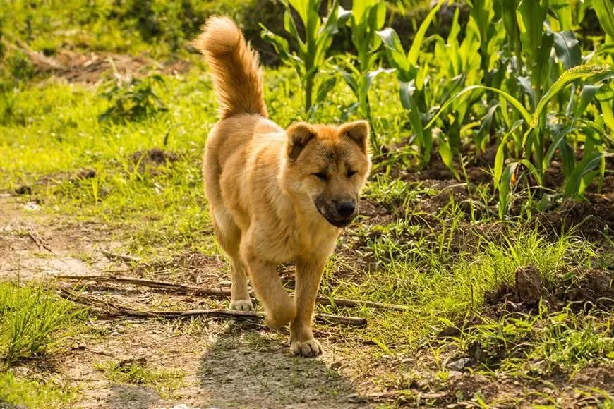 如何走出强迫症恐惧症,怎样走出强迫症疑心病困境