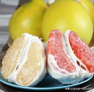 白肉的柚子和红肉的哪个好,如何分辨柚子是红肉还是白肉