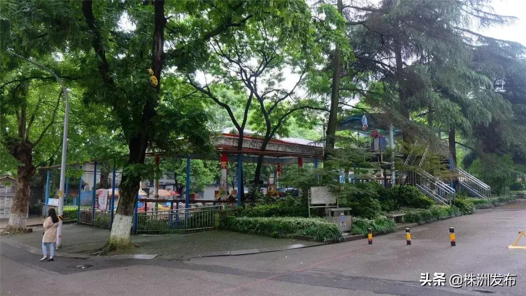 春日大自然美景视频,春日公园游玩美图视频