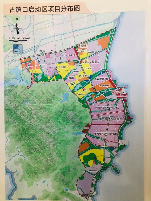 青岛学区房趋势,青岛学区房升值潜力如何