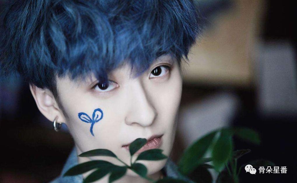 曾轶可被评价,曾轶可被质疑完整版