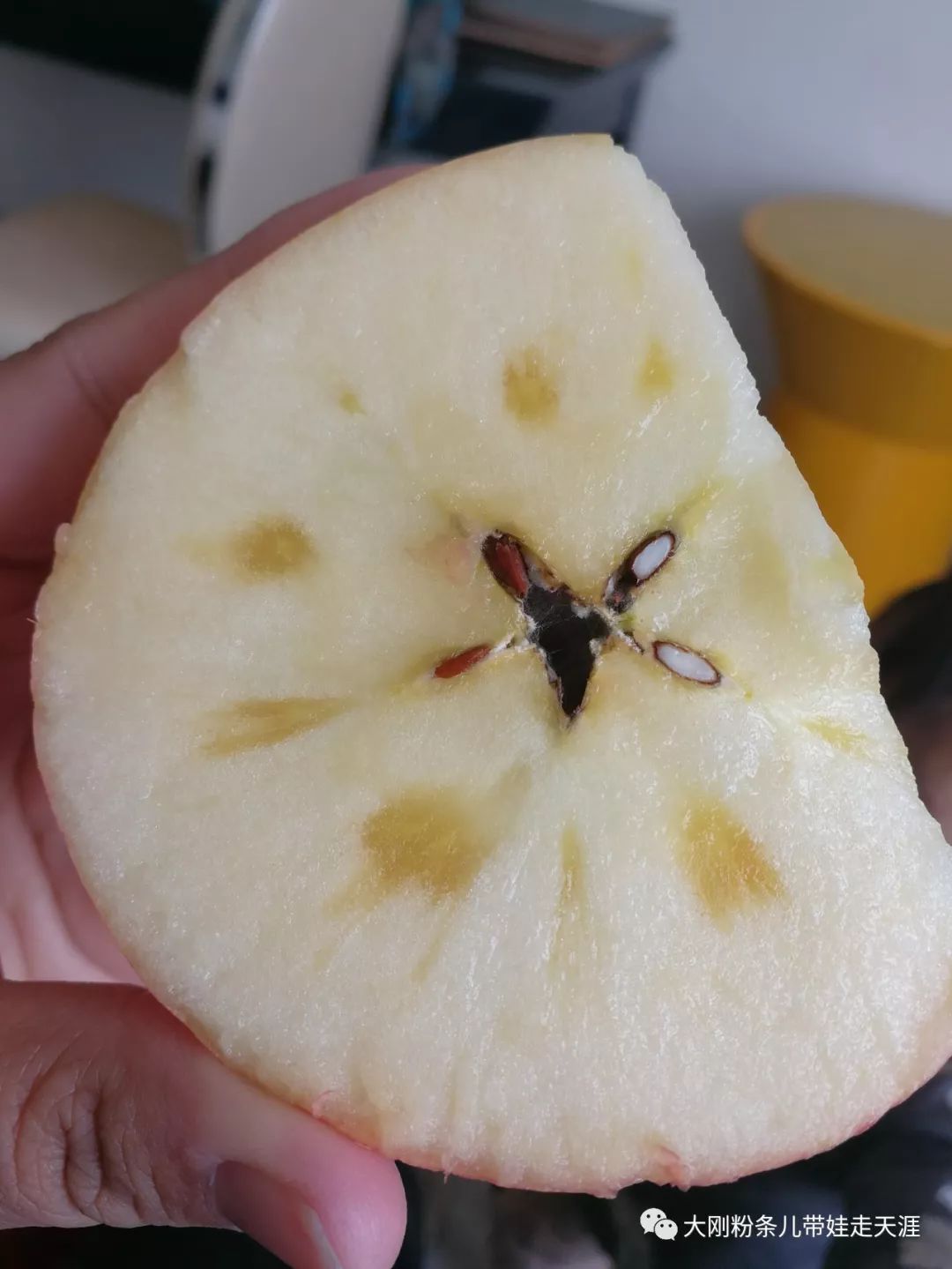 舌尖上的旅行带你领略旅行的美好,环游中国边界