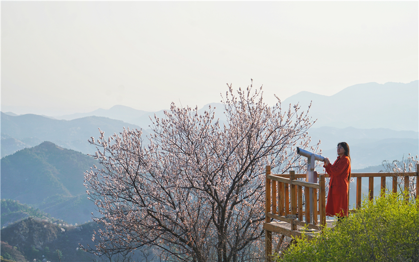 了不起的长城最新视频,了不起的长城是哪一期