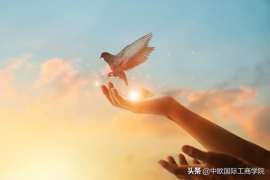 始祖鸟在国内的市场份额有多大,始祖鸟2000多