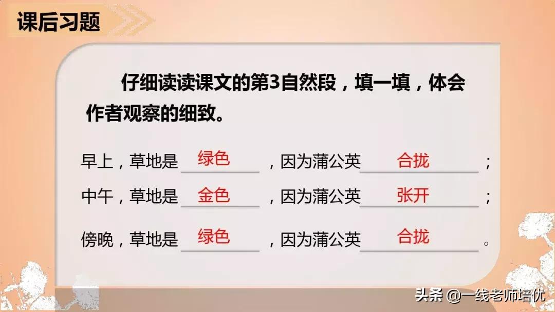 三年级语文金色的草地展现了什么,语文三年级上金色的草地课文讲解