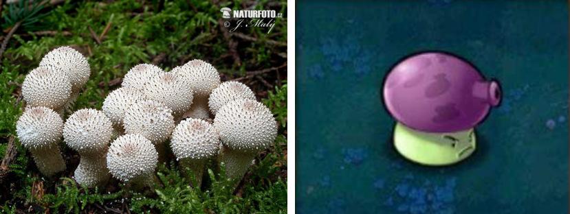 哪些植物可以打败满屏的普通僵尸,哪些植物秒杀小型僵尸