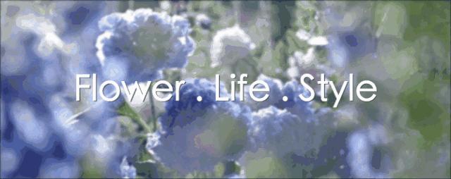 可以在室内燃放的烟花爆竹,植物烟花可以放室内吗