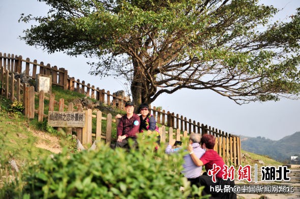 湖北宜昌夷陵区旅游,宜昌夷陵区全域图