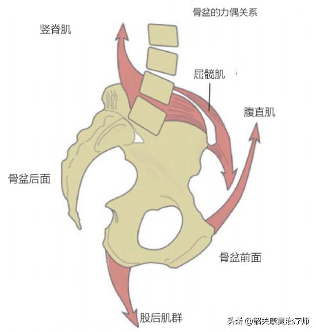 什么是下交叉综合征？下交叉综合症的解剖分析与纠正训练