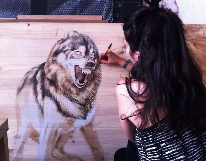 3d立体画写实彩铅,超写实彩铅手绘细腻的让人咋舌