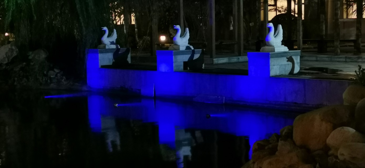 三门峡天鹅湖大酒店,天鹅湖大酒店附近商业街