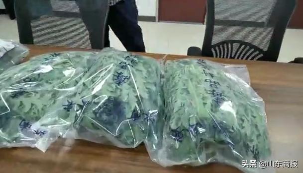 想看*粟罂**花是啥样？集市上花钱买种！一男子竟偷偷种了四百株*粟罂**苗！