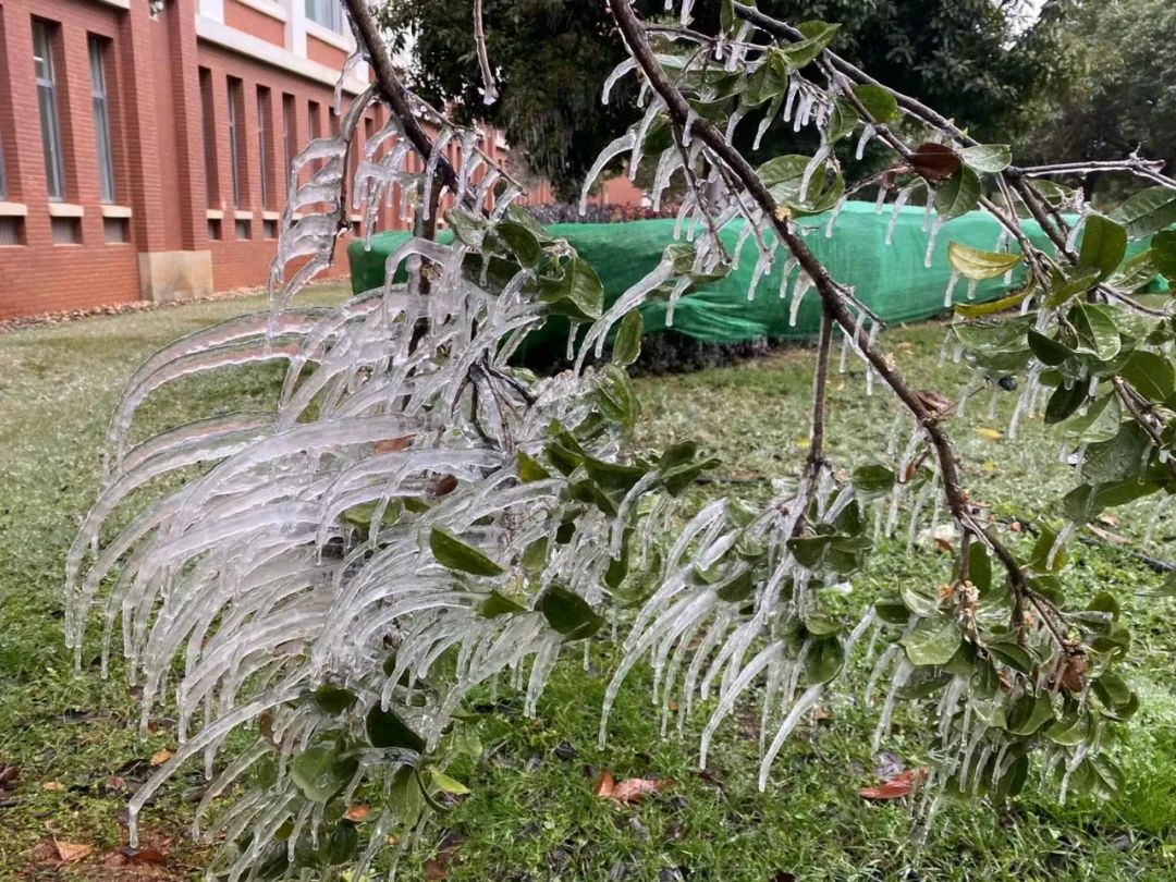 大寒潮小寒潮,寒潮带来大范围降雪