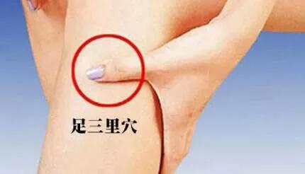 什么是生物电,什么是生物电及原理