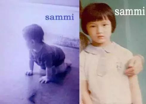 郑秀文在香港和王菲谁更火,郑秀文和王菲谁的地位高