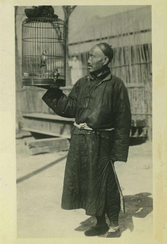 清朝旗人俸禄一览表,清朝旗人待遇排名