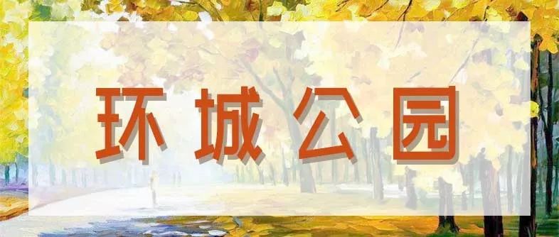 合肥秋季风景打卡地方排行榜,合肥最值得打卡地