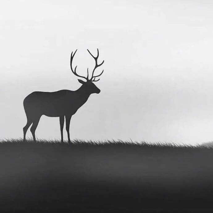 江苏省考准考证打印时间,cpa湖北准考证打印时间