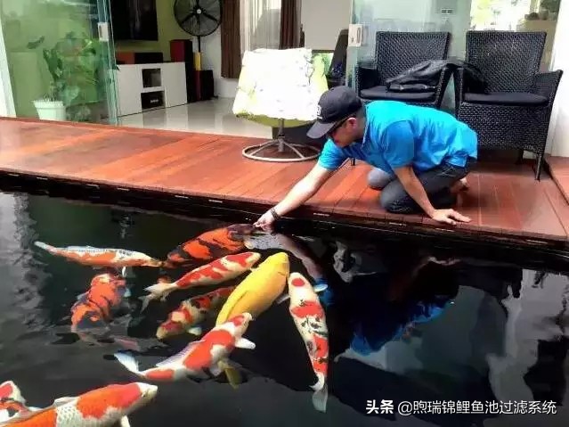 一个强大的过滤系统,一个过滤系统带多个鱼缸