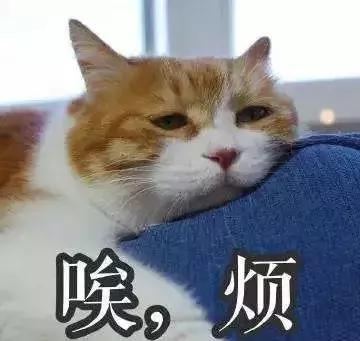 比养孩子还艰难,比照顾小孩还要累