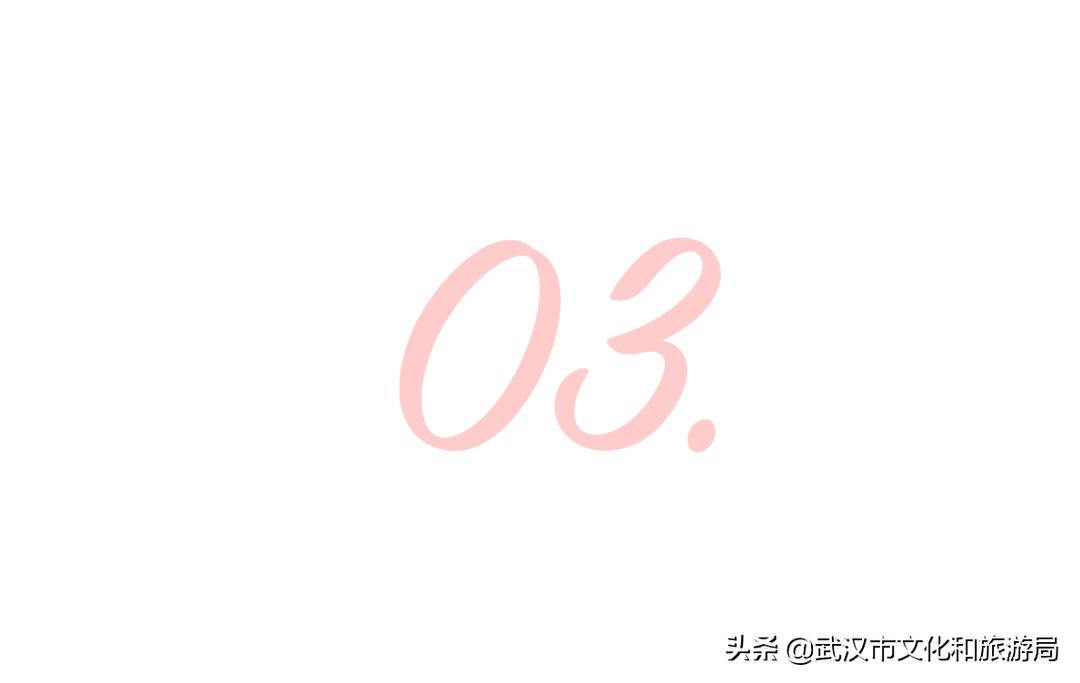 武汉东湖樱花门票,武汉看樱花的景点