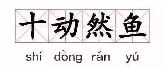 nike主理人签名球鞋,nike限量款球鞋在哪里抢购